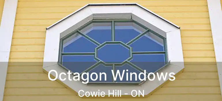 Octagon Windows Cowie Hill - ON