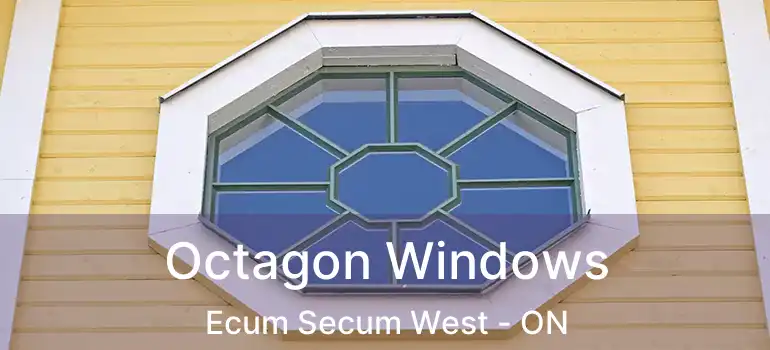  Octagon Windows Ecum Secum West - ON