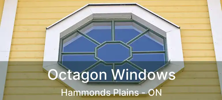 Octagon Windows Hammonds Plains - ON