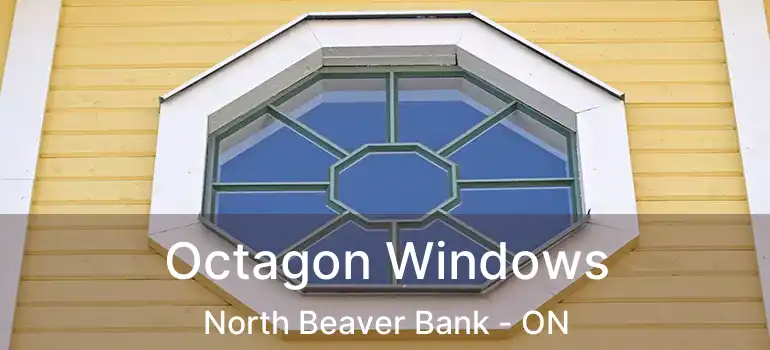 Octagon Windows North Beaver Bank - ON