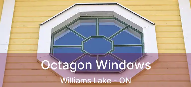  Octagon Windows Williams Lake - ON