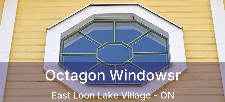  Octagon Windowsr East Loon Lake Village - ON