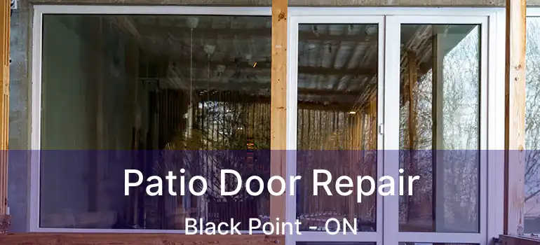  Patio Door Repair Black Point - ON