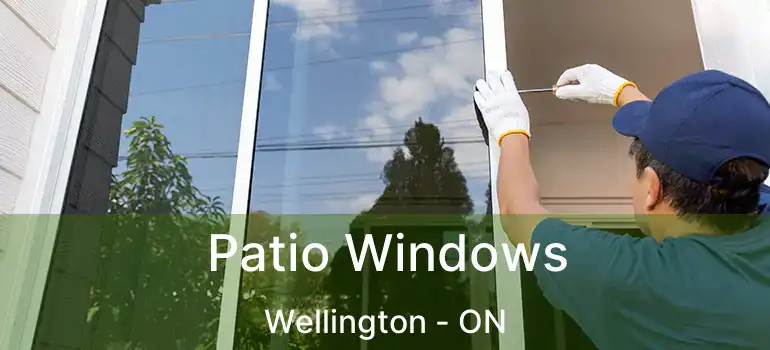  Patio Windows Wellington - ON