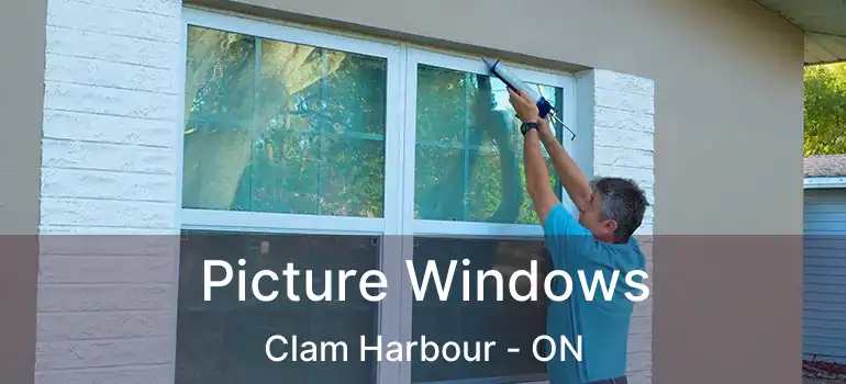  Picture Windows Clam Harbour - ON