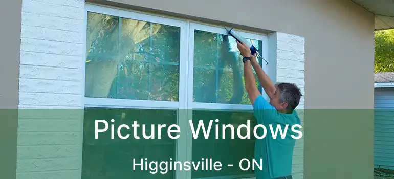  Picture Windows Higginsville - ON