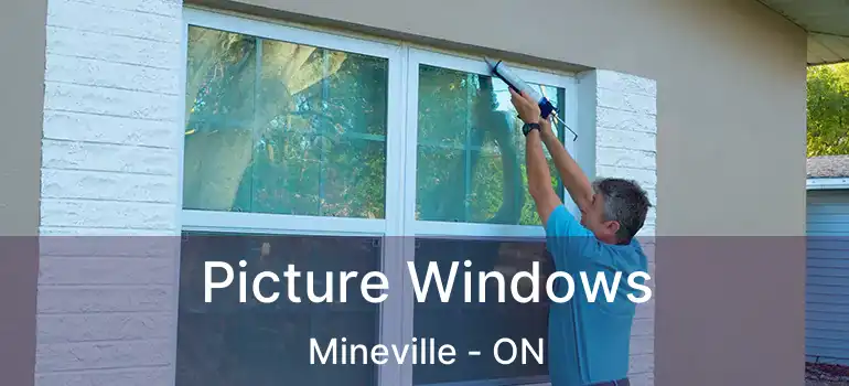  Picture Windows Mineville - ON