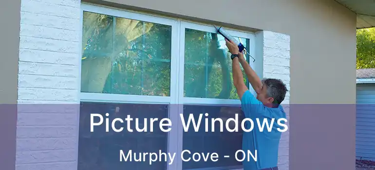  Picture Windows Murphy Cove - ON