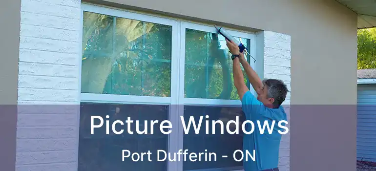  Picture Windows Port Dufferin - ON