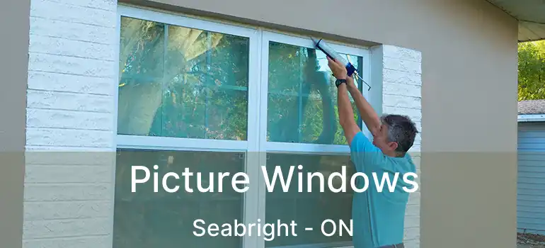  Picture Windows Seabright - ON