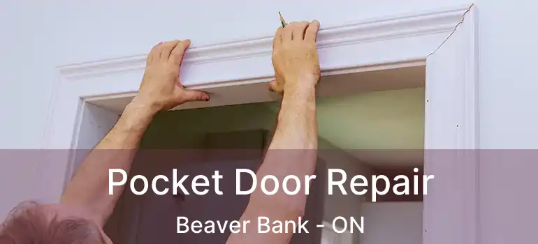  Pocket Door Repair Beaver Bank - ON