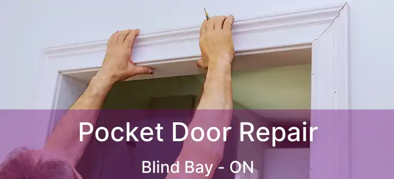  Pocket Door Repair Blind Bay - ON