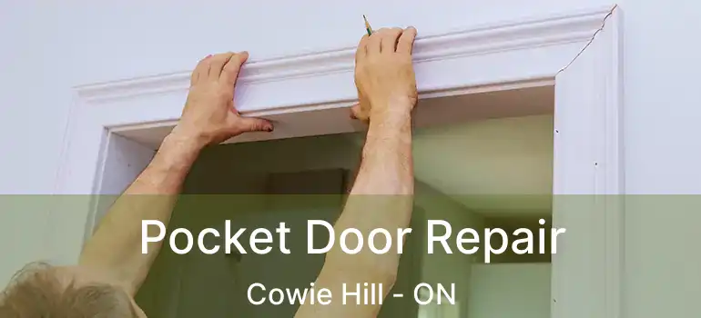  Pocket Door Repair Cowie Hill - ON