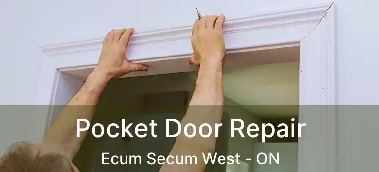  Pocket Door Repair Ecum Secum West - ON