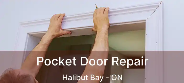 Pocket Door Repair Halibut Bay - ON