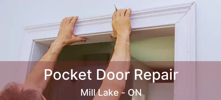  Pocket Door Repair Mill Lake - ON