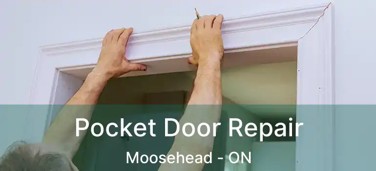  Pocket Door Repair Moosehead - ON