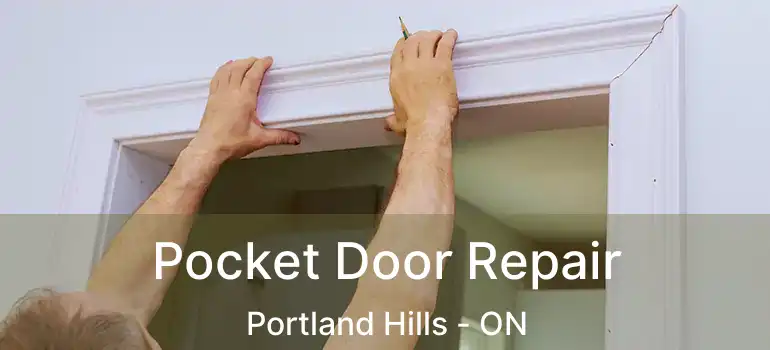  Pocket Door Repair Portland Hills - ON