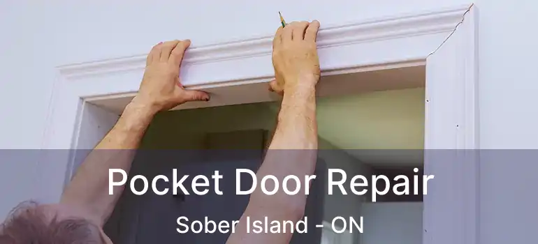  Pocket Door Repair Sober Island - ON