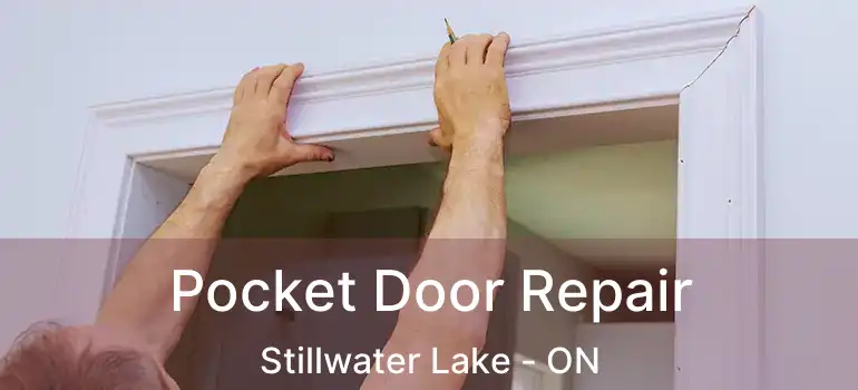  Pocket Door Repair Stillwater Lake - ON