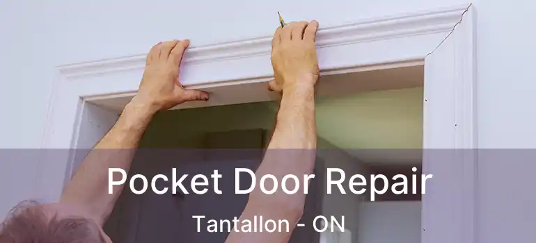  Pocket Door Repair Tantallon - ON