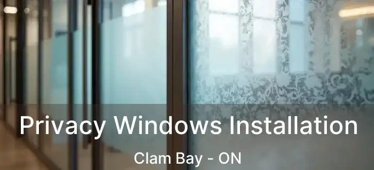  Privacy Windows Installation Clam Bay - ON