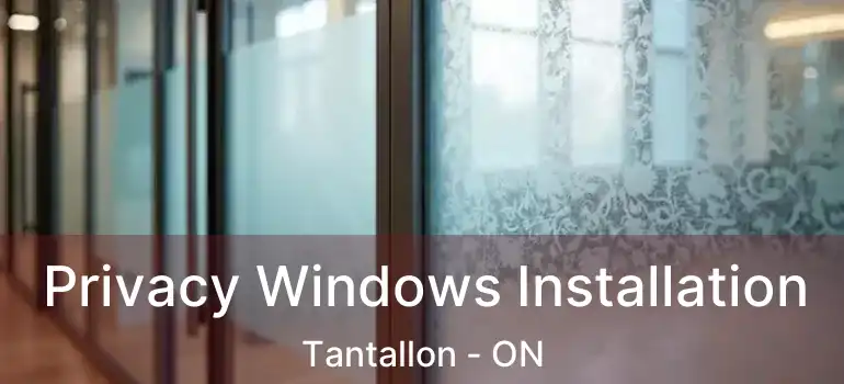  Privacy Windows Installation Tantallon - ON
