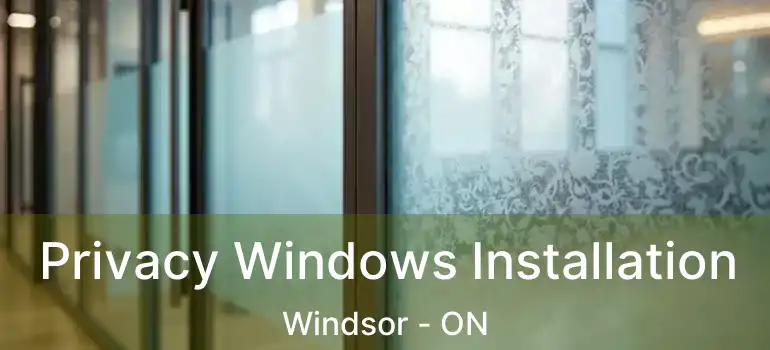  Privacy Windows Installation Windsor - ON