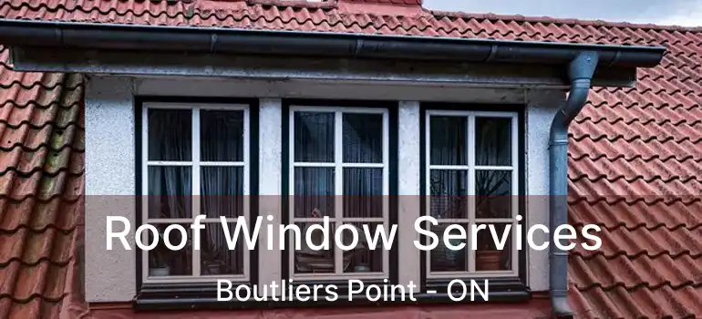  Roof Window Services Boutliers Point - ON