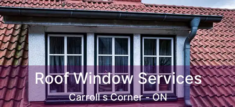  Roof Window Services Carroll s Corner - ON