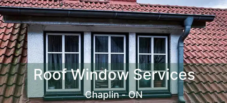  Roof Window Services Chaplin - ON
