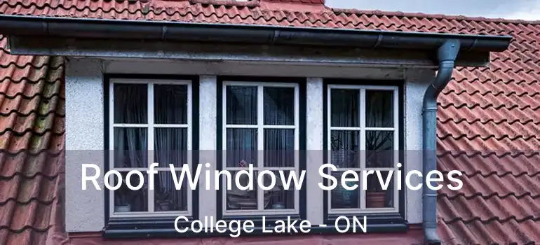  Roof Window Services College Lake - ON