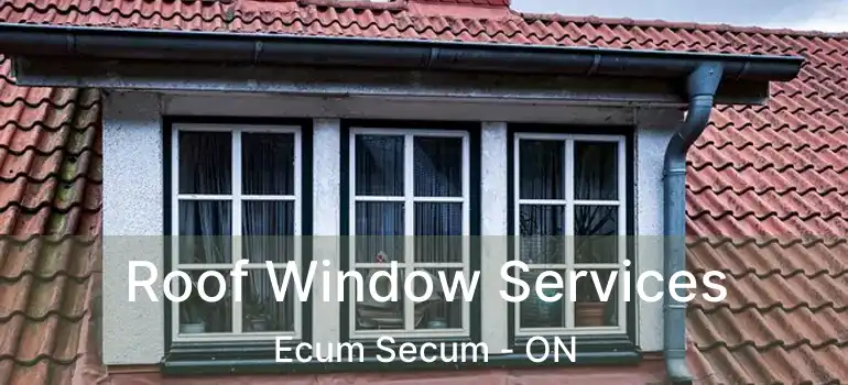  Roof Window Services Ecum Secum - ON