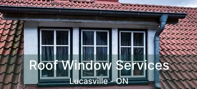  Roof Window Services Lucasville - ON