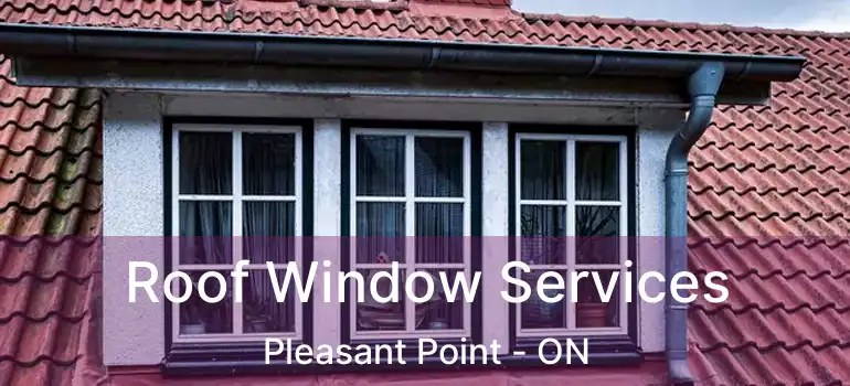  Roof Window Services Pleasant Point - ON
