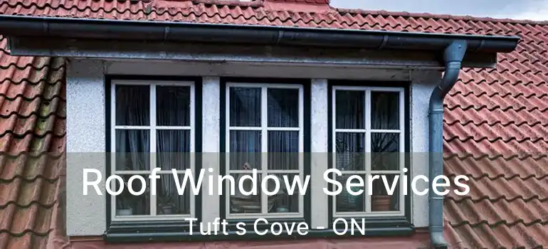  Roof Window Services Tuft s Cove - ON