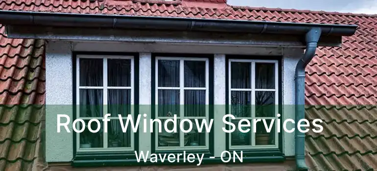  Roof Window Services Waverley - ON