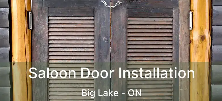  Saloon Door Installation Big Lake - ON