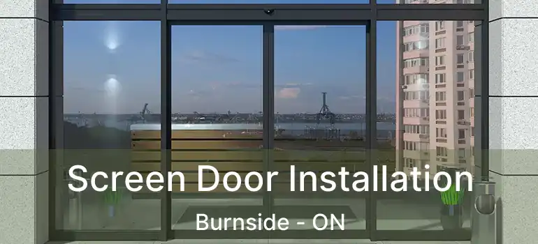  Screen Door Installation Burnside - ON
