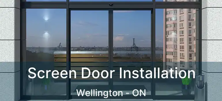  Screen Door Installation Wellington - ON