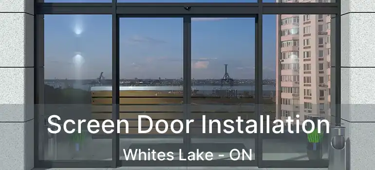  Screen Door Installation Whites Lake - ON