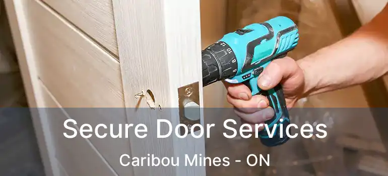  Secure Door Services Caribou Mines - ON
