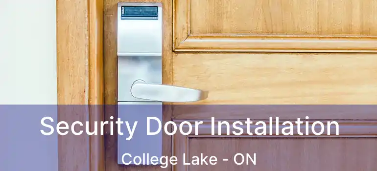  Security Door Installation College Lake - ON