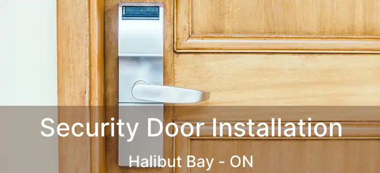  Security Door Installation Halibut Bay - ON