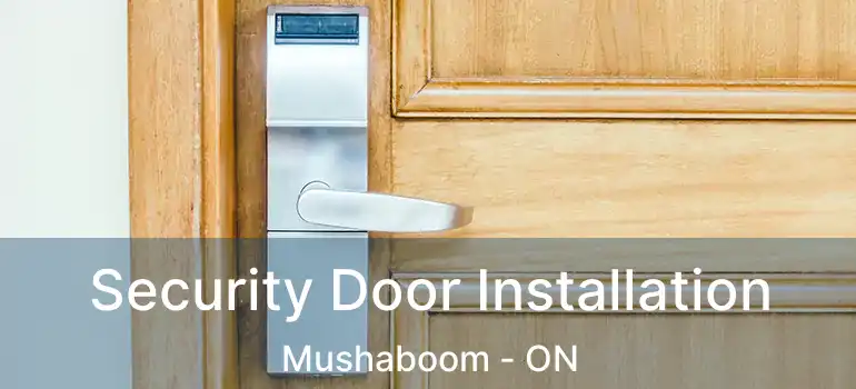  Security Door Installation Mushaboom - ON