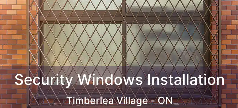  Security Windows Installation Timberlea Village - ON