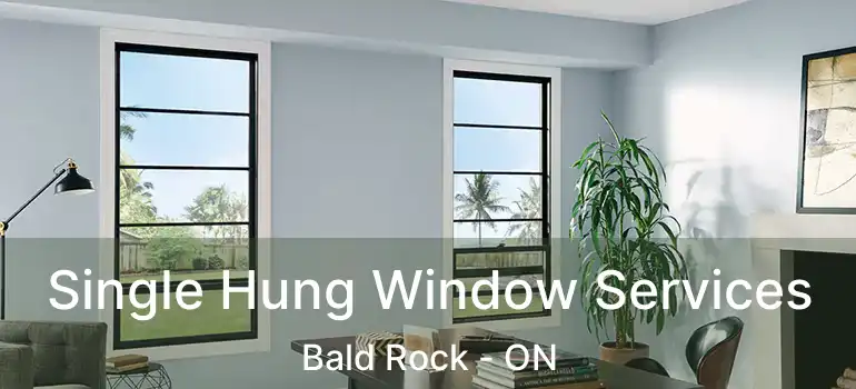  Single Hung Window Services Bald Rock - ON