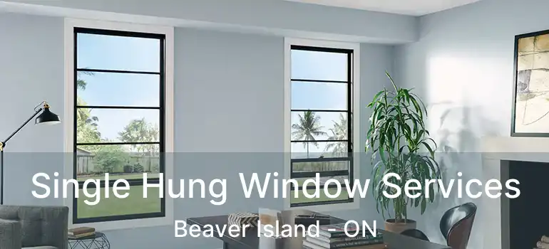  Single Hung Window Services Beaver Island - ON