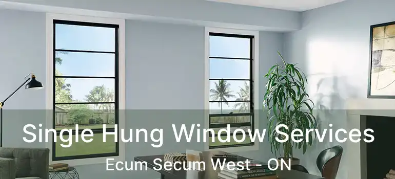  Single Hung Window Services Ecum Secum West - ON