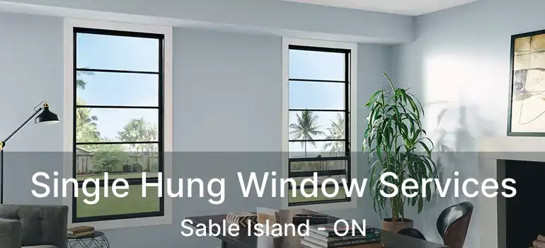  Single Hung Window Services Sable Island - ON